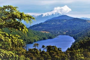 Из Пукона: пешеходная экскурсия по национальному парку Уэркеуэ