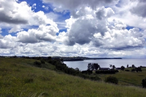 From Puerto Montt or Puerto Varas: Frutillar Tour