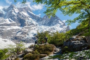 Torres del Paine: Fransk dal-vandretur hele dagen