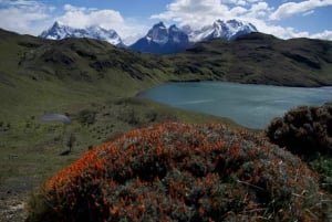 From Puerto Natales: Torres del Paine Hiking Tour with Lunch