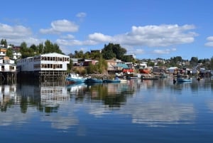 From Puerto Varas: Chiloe Island Full-day Tour
