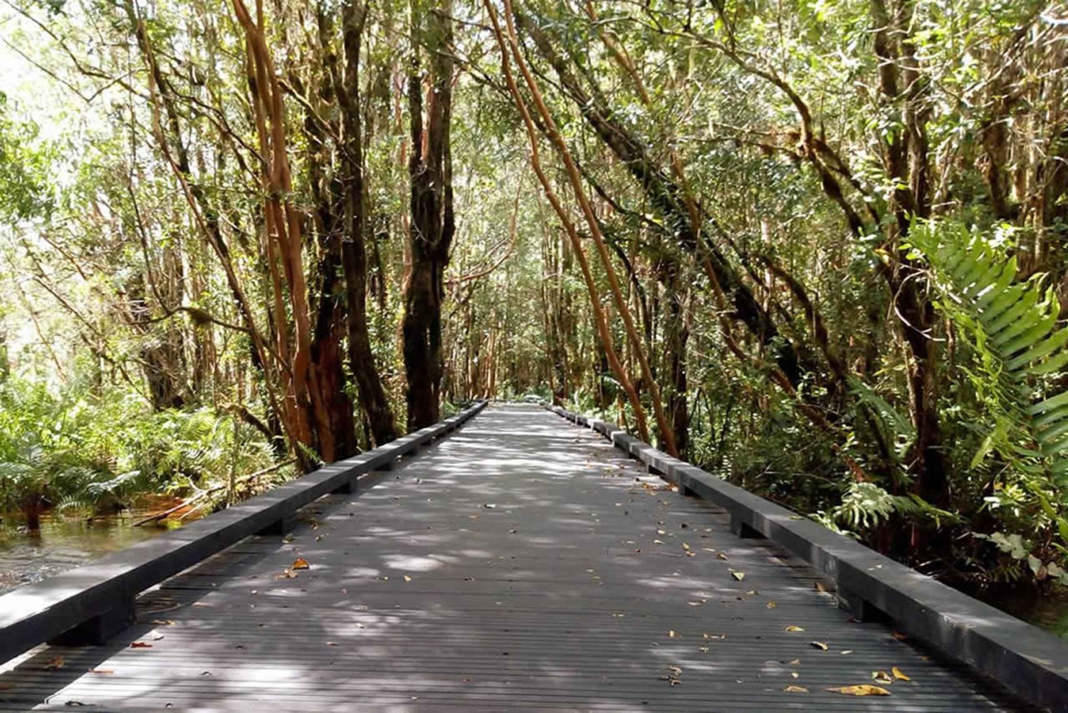 De Puerto Varas: Dia inteiro em Termas del Sol e Vale de Cochamo
