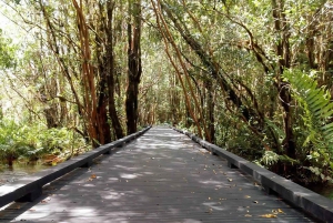 De Puerto Varas: Dia inteiro em Termas del Sol e Vale de Cochamo
