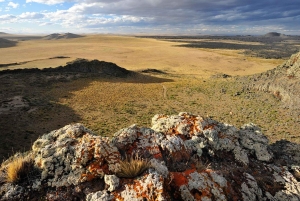Z Punta Arenas: Park Narodowy Pali Aike