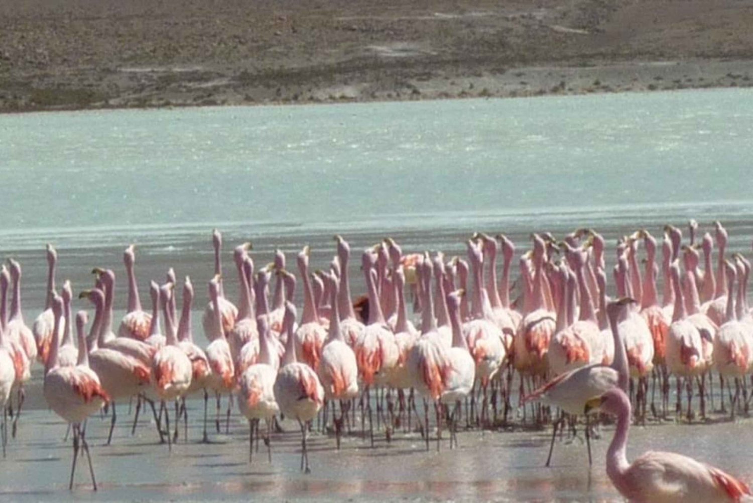 San Pedro de Atacamasta: 3 päivän Uyuni Salt Flats -kierros