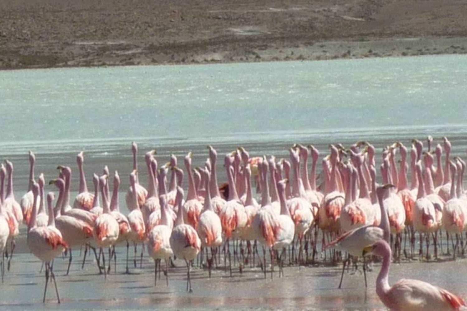 Z San Pedro de Atacama: 3-dniowa wycieczka po słonych równinach Uyuni