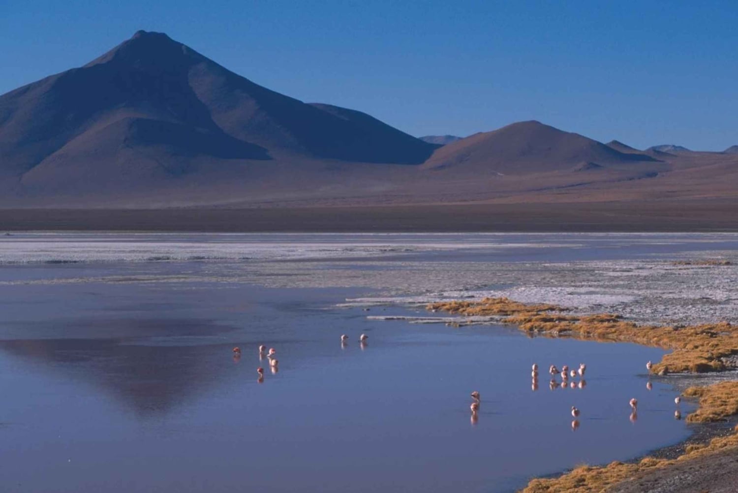 Au départ de San Pedro de Atacama : circuit de 3 jours dans le désert de sel d'Uyuni