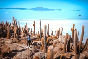 From San Pedro de Atacama: 4-Day Uyuni Salt Flats Tour