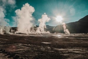 From San Pedro de Atacama: El Tatio Geyser Field & Wetlands