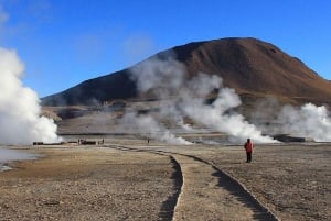 From San Pedro de Atacama: El Tatio Geyser Field & Wetlands