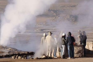 From San Pedro de Atacama: El Tatio Geyser Field & Wetlands