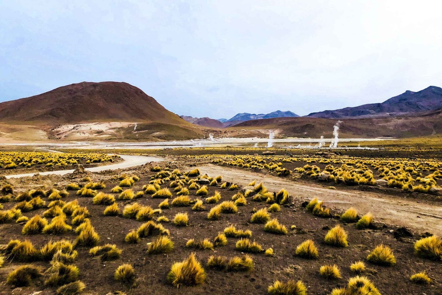 Fra San Pedro de Atacama: Geysers del Tatio Halvdagstur