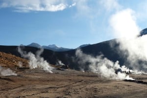 Fra San Pedro de Atacama: Geysers del Tatio Halvdagstur