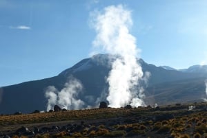 Fra San Pedro de Atacama: Geysers del Tatio Halvdagstur