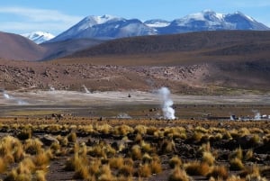 Fra San Pedro de Atacama: Geysers del Tatio Halvdagstur