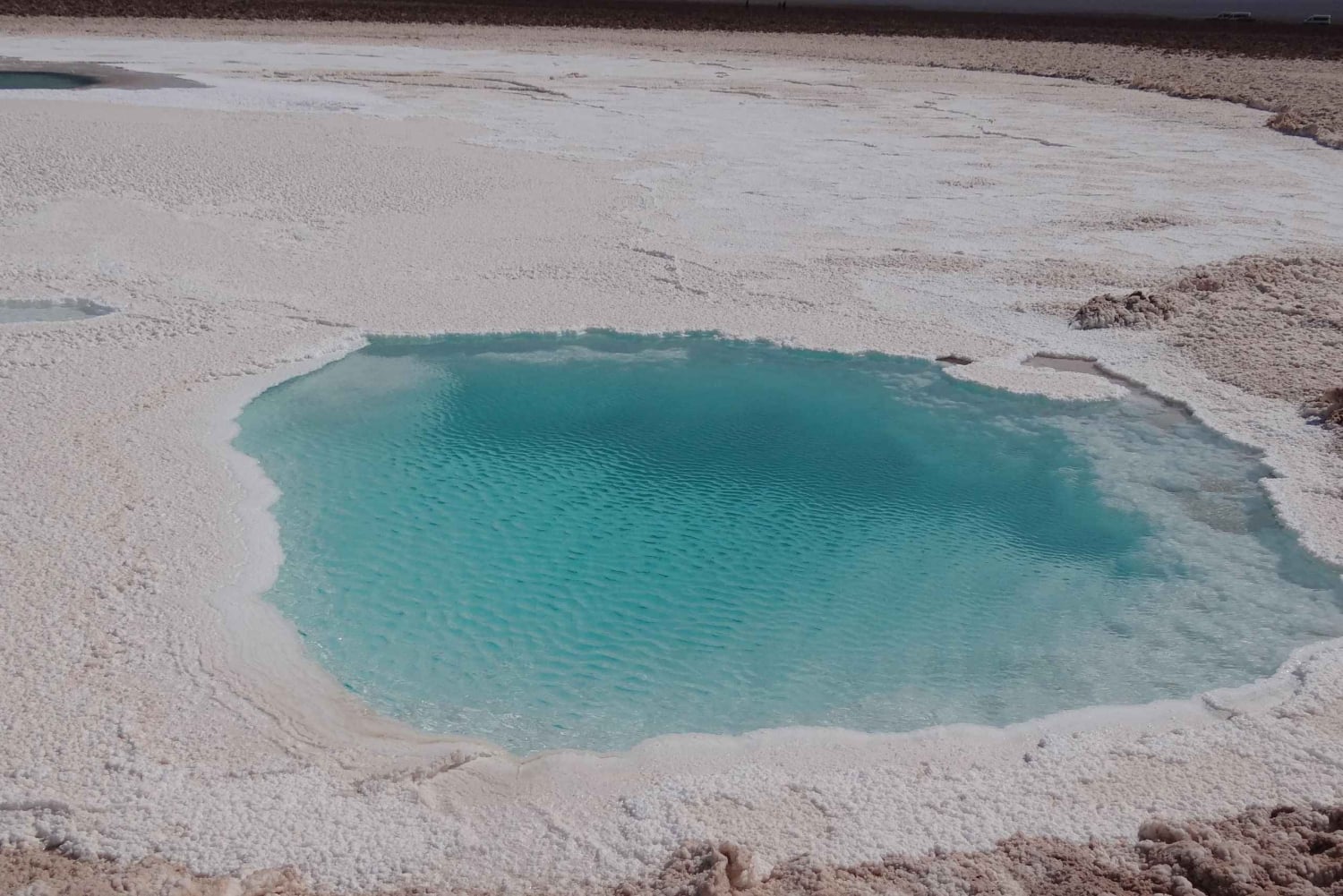 Depuis San Pedro de Atacama : les lagunes cachées de Baltinache