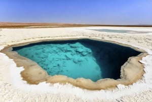 From San Pedro de Atacama: Hidden Lagoons of Baltinache