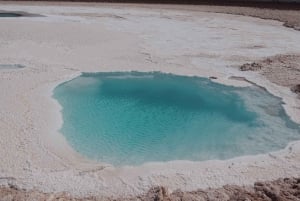 Fra San Pedro de Atacama: De skjulte lagunene i Baltinache