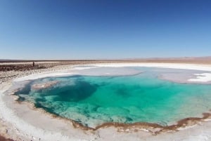 Depuis San Pedro de Atacama : les lagunes cachées de Baltinache