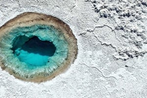 Depuis San Pedro de Atacama : les lagunes cachées de Baltinache