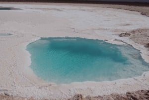 Depuis San Pedro de Atacama : les lagunes cachées de Baltinache