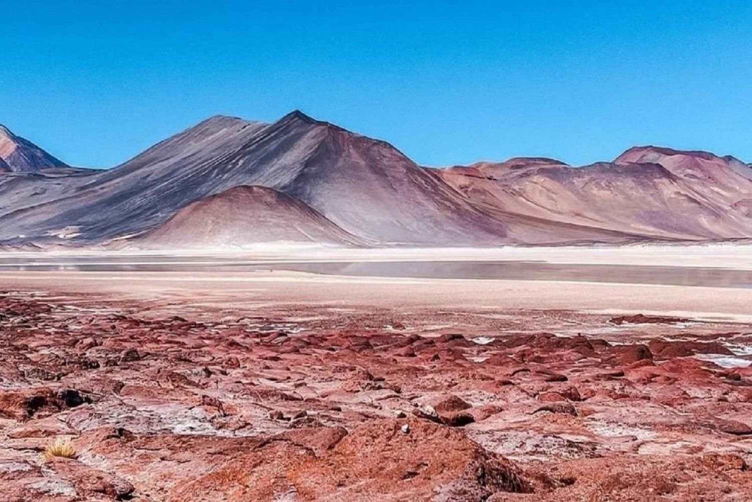 From San Pedro de Atacama: Lagoons and Piedras Reds