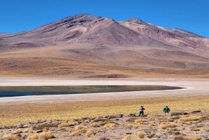 Depuis San Pedro de Atacama : Lagunes et Piedras Rouges