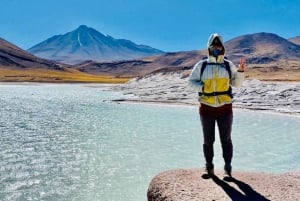 Depuis San Pedro de Atacama : Lagunes et Piedras Rouges