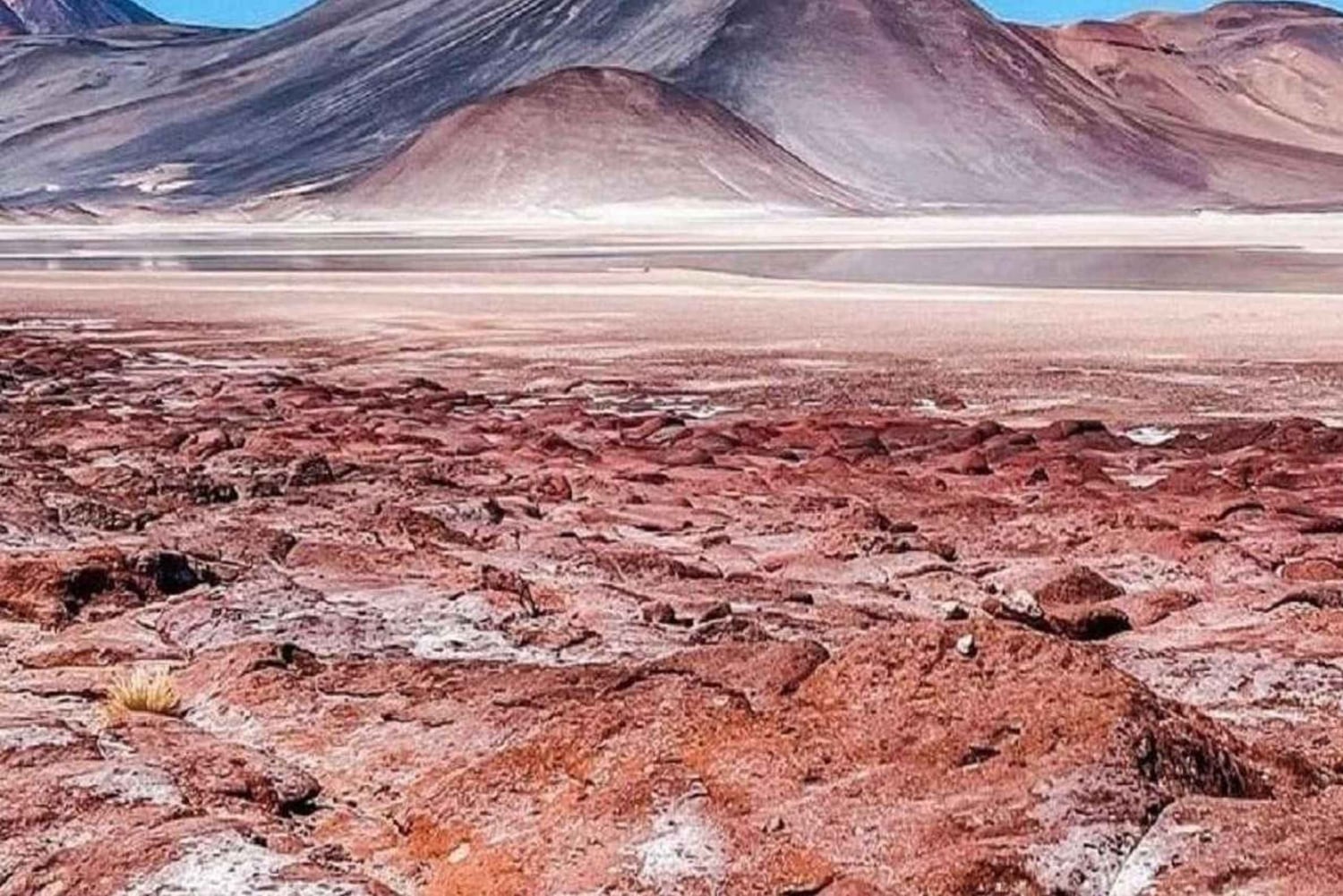 Z San Pedro de Atacama: Laguny i czerwone kamienie