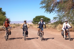 From San Pedro de Atacama: Laguna Cejar E-biking Adventure