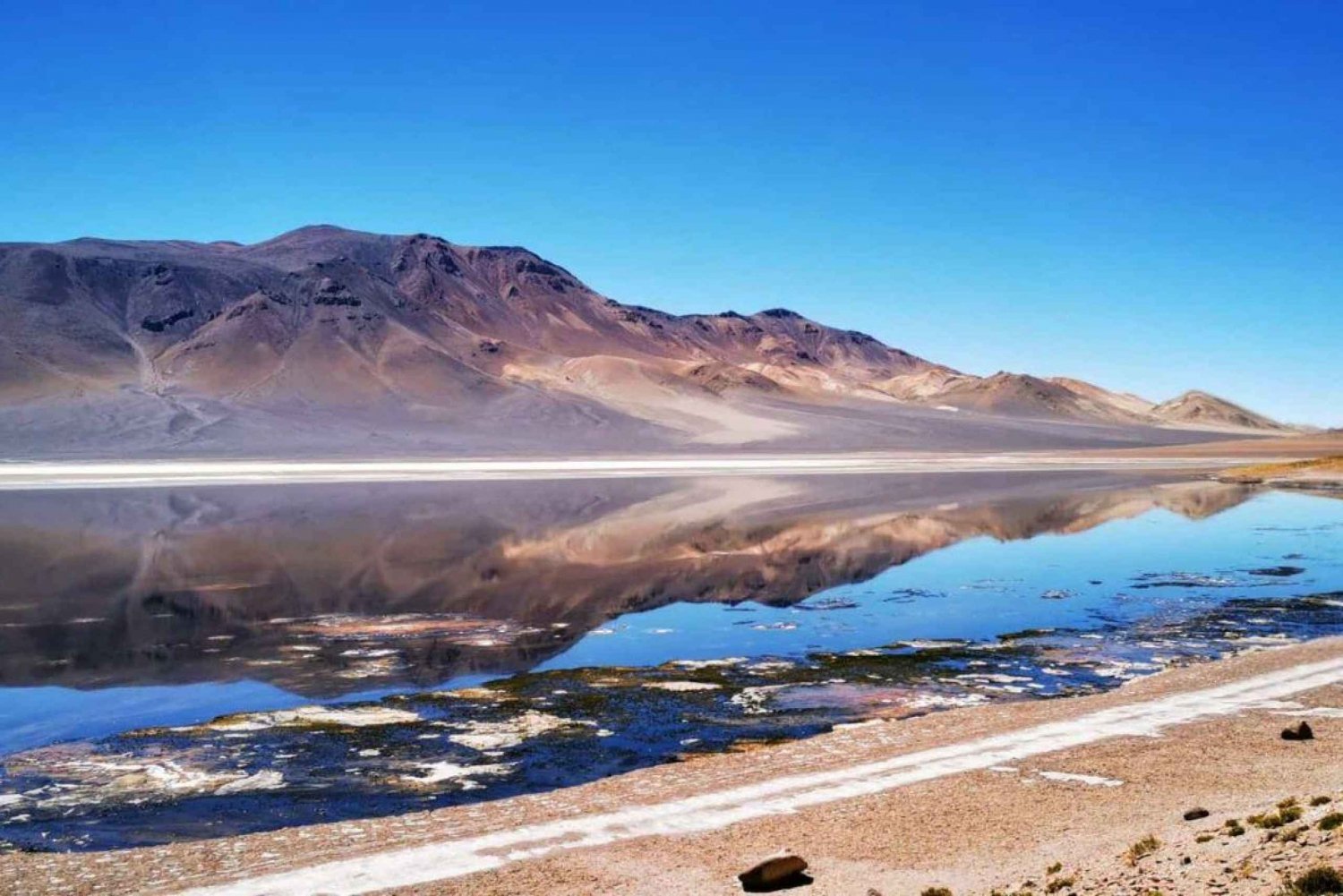 Desde:San Pedro de Atacama / Ruta del Salar