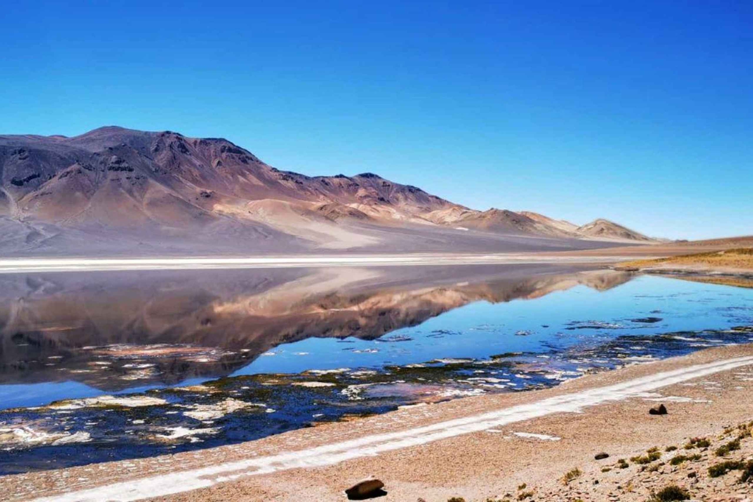 Desde:San Pedro de Atacama / Ruta del Salar