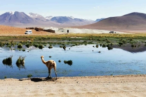 From:San Pedro de Atacama / Salar Route