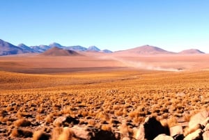 Depuis San Pedro de Atacama : Visite des geysers du Tatio et de Machuca