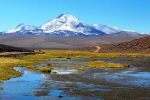 De San Pedro de Atacama: Tour pelos Gêiseres do Tatio e Machuca