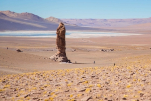 Au départ de San Pedro de Atacama : La route des salines, journée complète