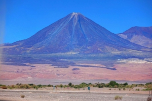 Au départ de San Pedro de Atacama : La route des salines, journée complète