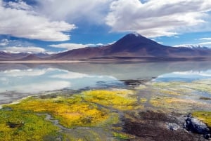 Fra San Pedro de Atacama: Uyuni saltslette 3 dager