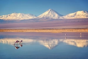 Desde San Pedro de Atacama Salar de Uyuni 4 Días