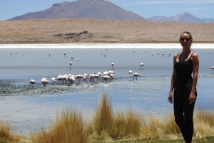 Depuis San Pedro de Atacama : Circuit de 3 jours dans les plaines salées d'Uyuni