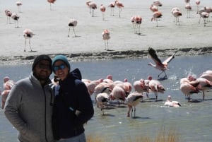 From San Pedro de Atacama: Uyuni Salt Flats 4-Day Tour