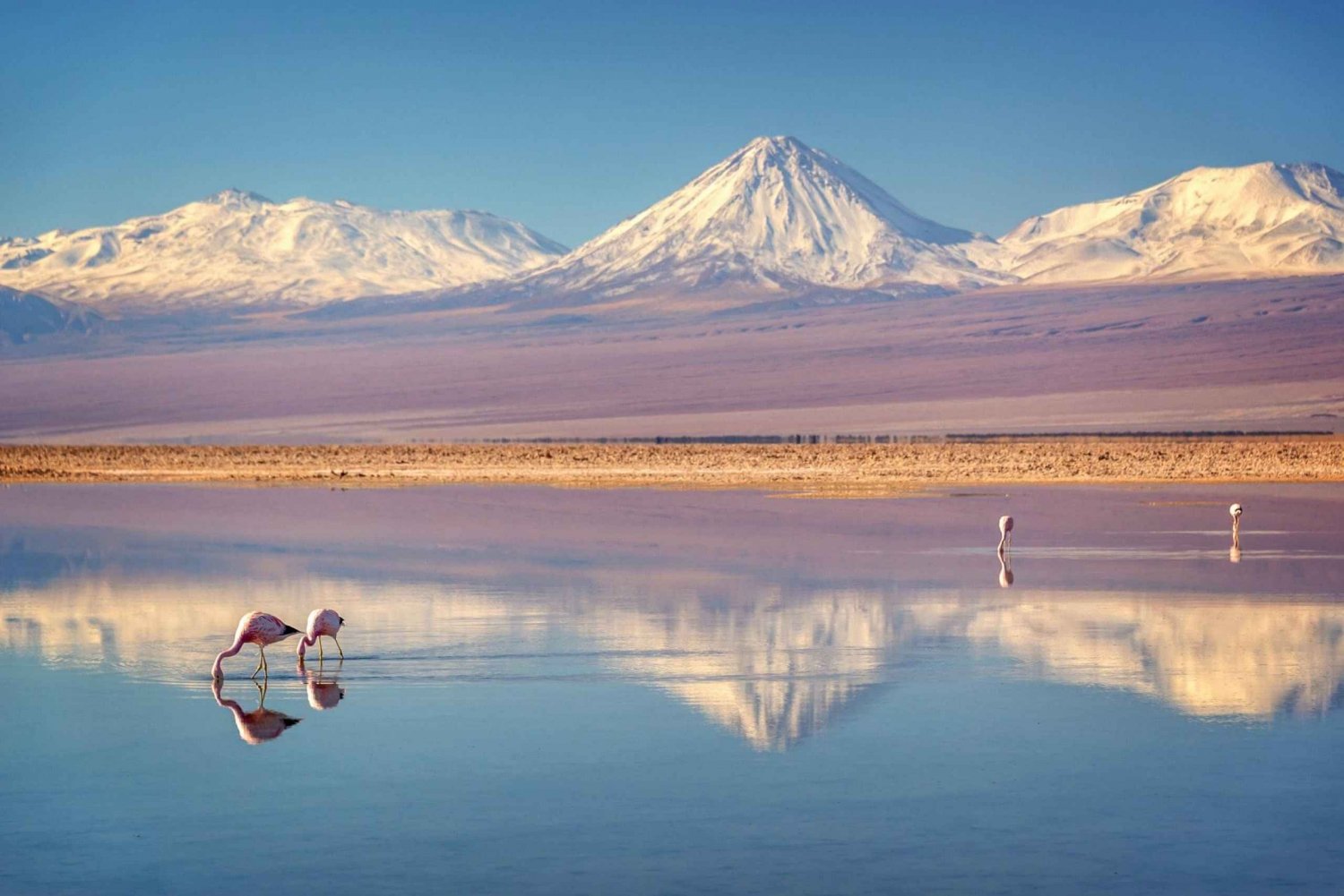 Från San Pedro de Atacama: Uyuni Salt | Semi Privat 4D/3N