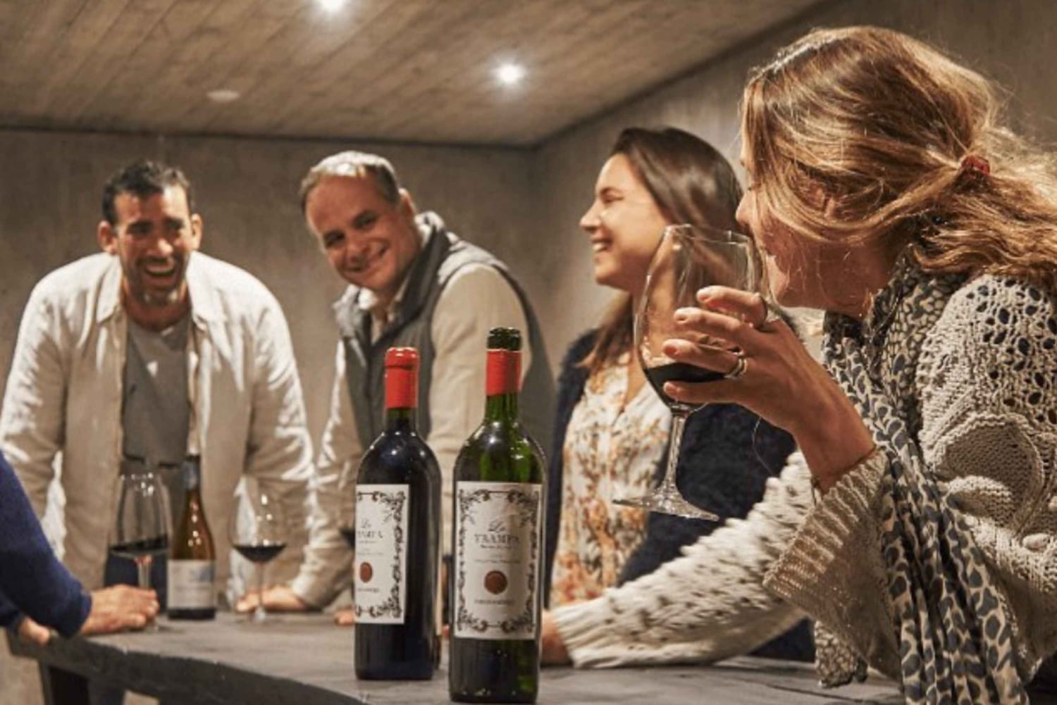 Depuis Santiago : Route des vins de la vallée de l'Aconcagua