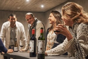 Depuis Santiago : Route des vins de la vallée de l'Aconcagua