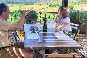 Depuis Santiago : Route des vins de la vallée de l'Aconcagua