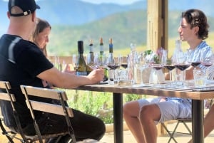 Depuis Santiago : Route des vins de la vallée de l'Aconcagua