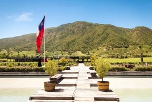 From Santiago: Colchagua Valley Wine Route Day Tour