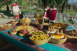 Von Santiago: Colina Thermalbäder und Embalse el Yeso mit Picknick