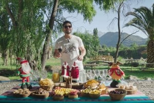 Von Santiago: Colina Thermalbäder und Embalse el Yeso mit Picknick