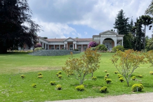 From Santiago: Concha y Toro Marqués Full-Day Wine Tasting
